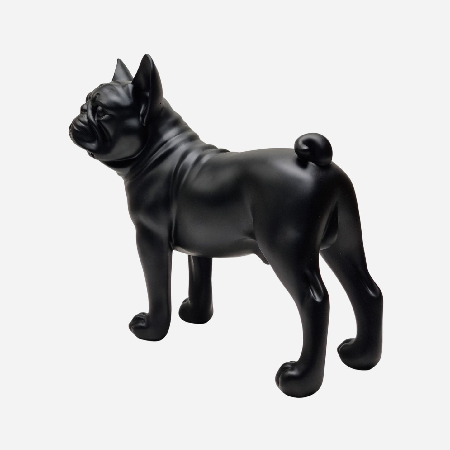 Black French Bulldog